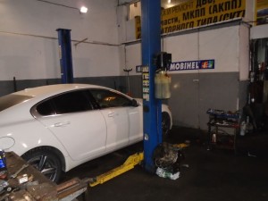 SERVIS-SPEC-003.jpg